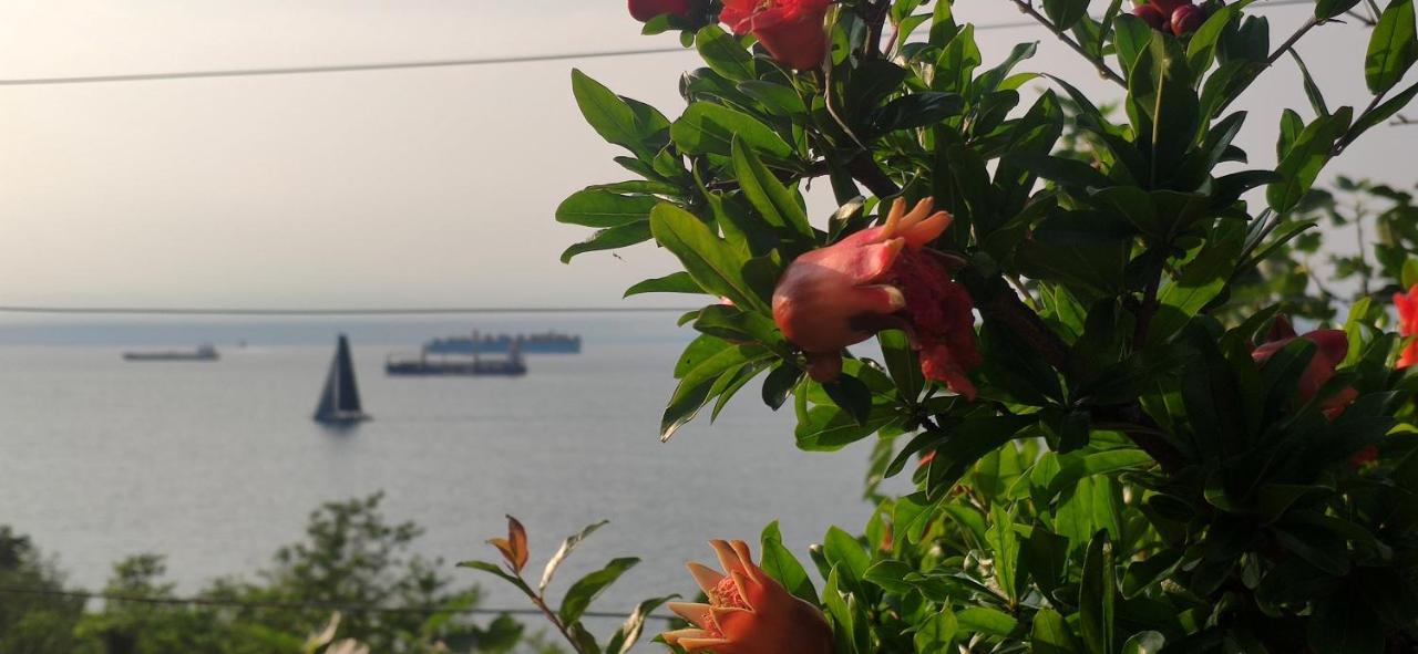 Sea Sun & Me Apartment Копер Екстер'єр фото